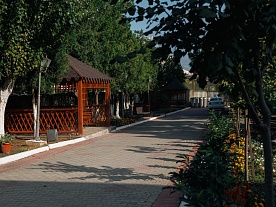 Фотогалерея Фотогалерея