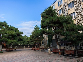 Фотогалерея Фотогалерея